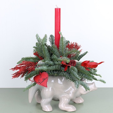 Triceratops "Magic of Red"