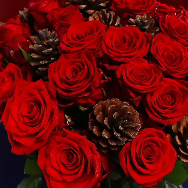 Букет из 25 красных роз и шишек