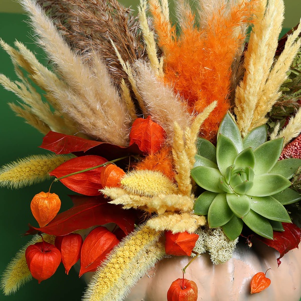 Floral composition in pumpkin with echiveria