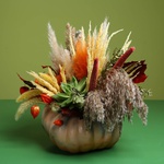 Floral composition in pumpkin with echiveria