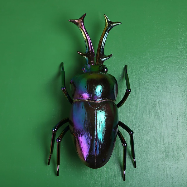 Deer beetle