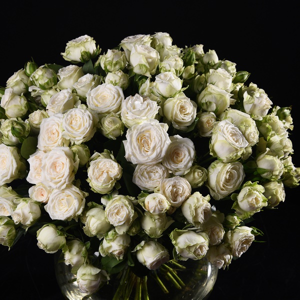 Bouquet of 35 white roses Miss Bombastic