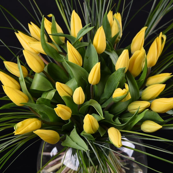 Bouquet of yellow tulips in a vase