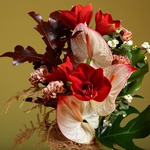 Bouquet for a man with anthurium and amaryllis