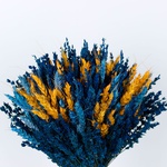 Yellow-blue bouquet of dried flowers