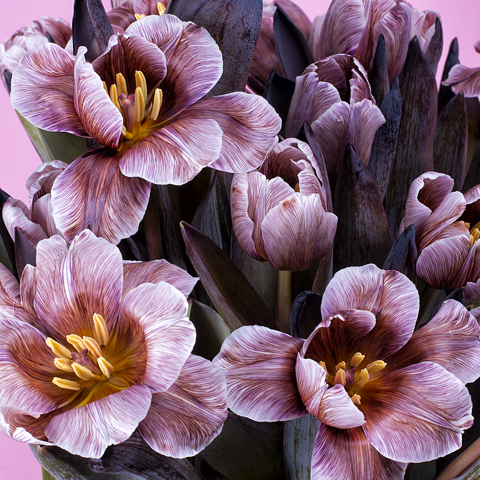 7 unusual flower arrangements for a dream girl, according to Elle Man