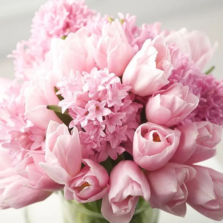 Які квіти подарувати на 8 березня: поради флориста