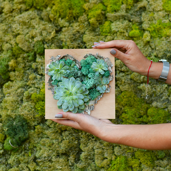 Workshop Living picture with succulents "Living Heart"