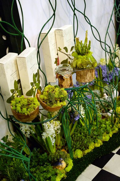 Виставка Flower Expo Ukraine 2016