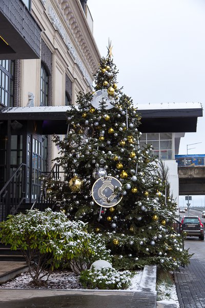 Royal monochrome in the New Year decoration of the Queen nightclub