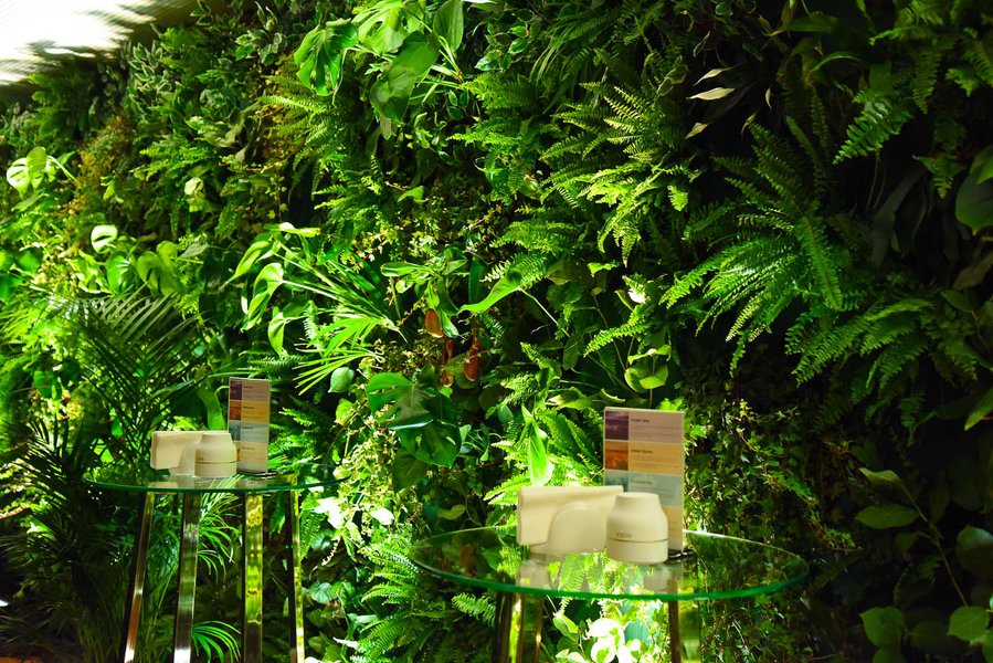 Landscaping for IQOS Event
