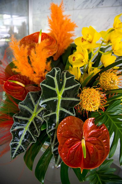 Interior floral arrangements at Borispol airport July 2019