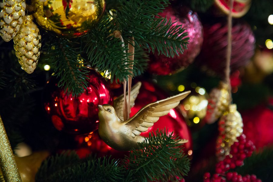 Christmas tree in the Mariinsky Palace