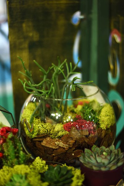 Виставка Flower Expo Ukraine 2017