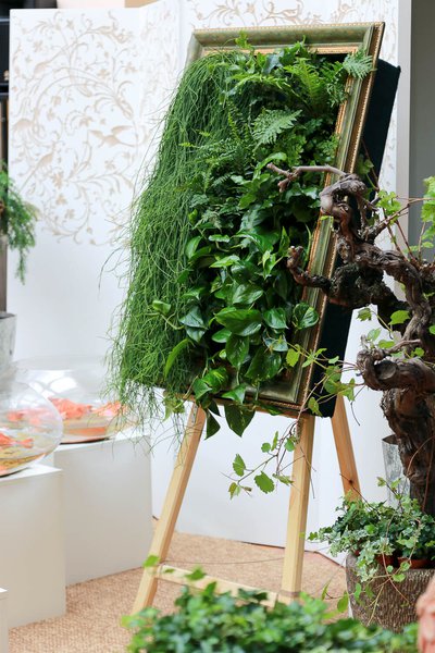 Plant Paintings