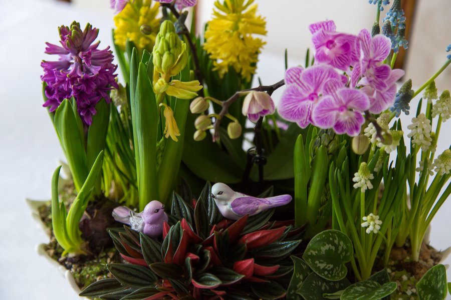 Spring flower decoration at home