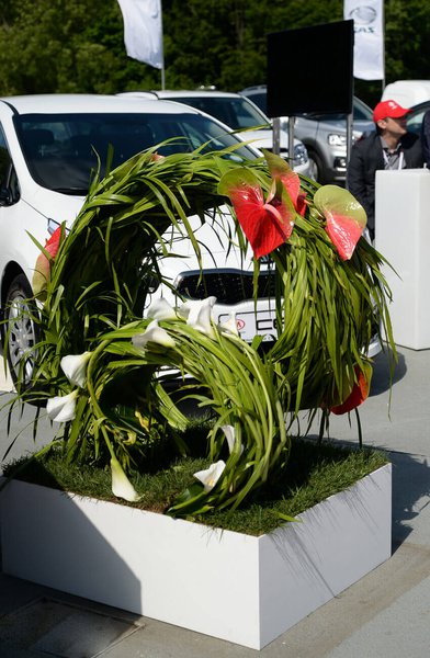 AVIS car event