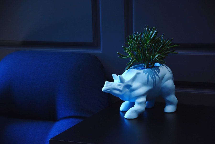 ANIMAL LAND ceramics collection from LoraShen