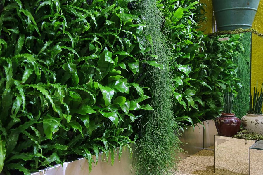 Plant Walls