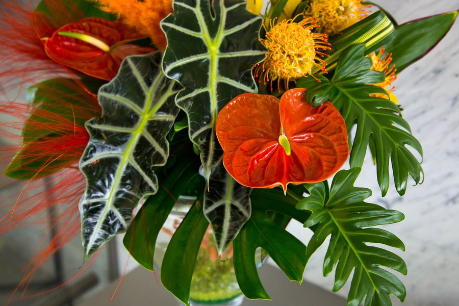 Interior floral arrangements at Borispol airport July 2019