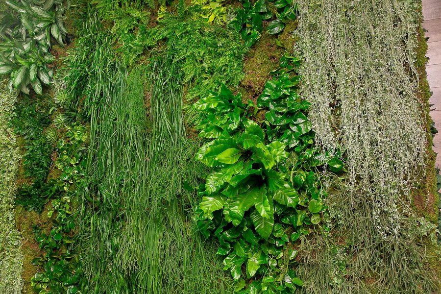 Plant Walls