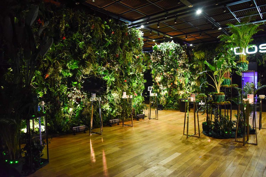 Landscaping for IQOS Event