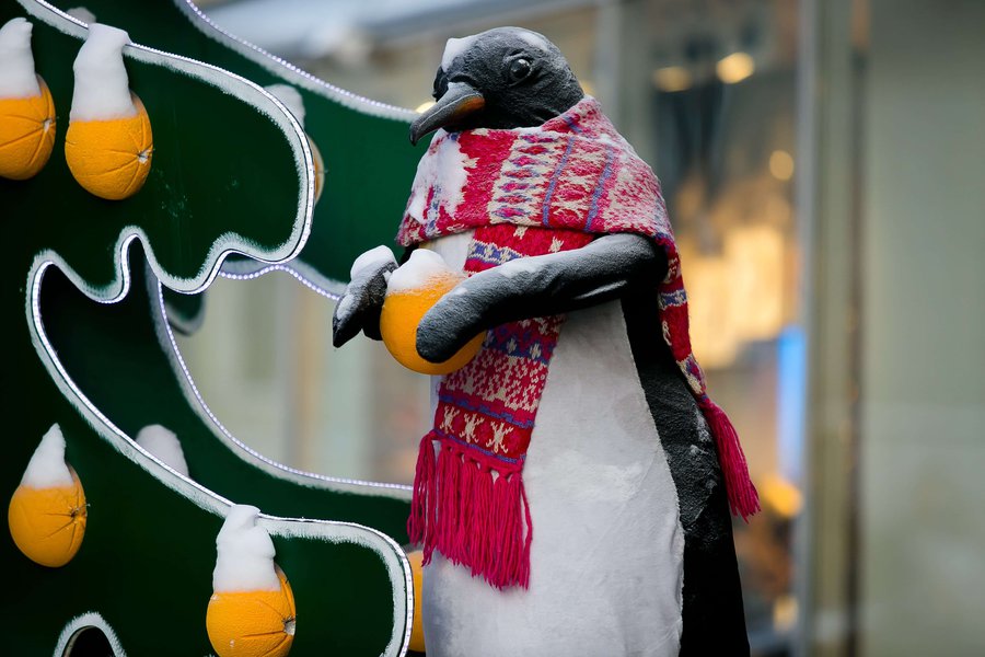 Winter decoration for Lviv Roshen Store 2017