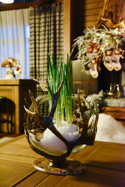 Alpine-Styled Home Decoration