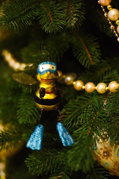 New Year's home decoration for 2019