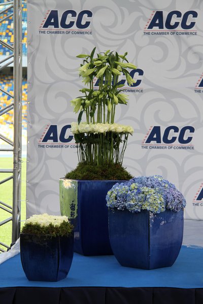 AAC Conference
