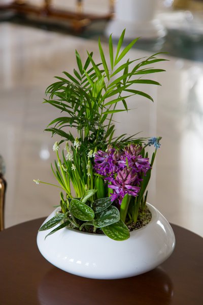 Spring flower decoration at home