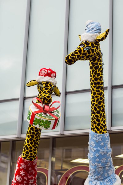 Winter decoration for Vinnytsia Roshen Store 2017