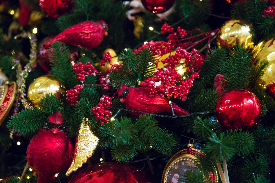 Christmas tree in the Mariinsky Palace