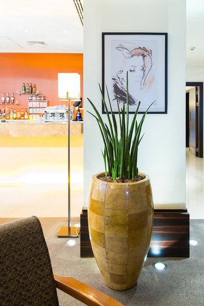 Озеленення лобі-бару готелю Hyatt Regency Kiev