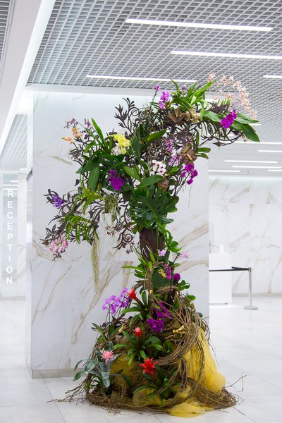 Decorative trees for BC "Leonardo"