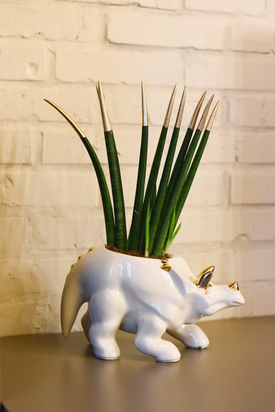 Animal Land Glossy Collection