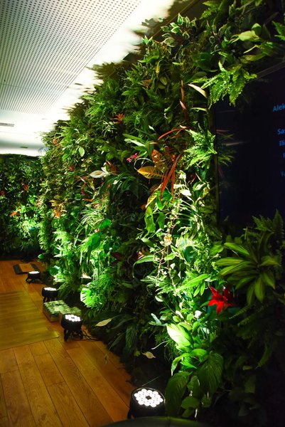 Landscaping for IQOS Event