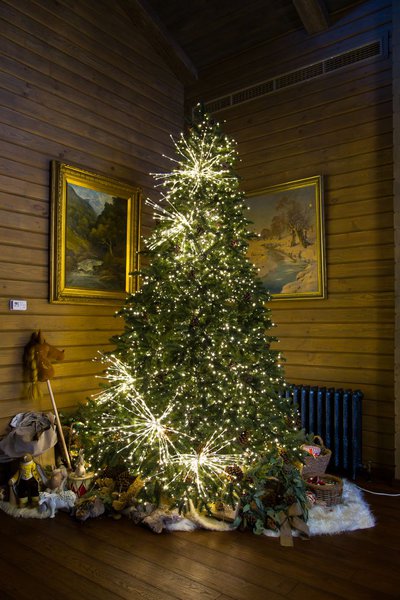 Private decoration in the "House in the mountains" style