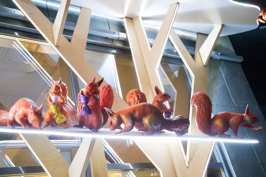Squirrels love candy: a new display format for the Roshen chain of stores