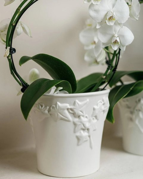 Collection of Nordic Ivy ceramics