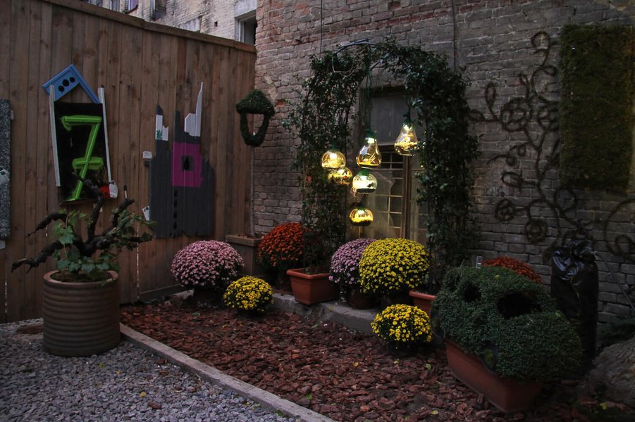 Creative Space & Experiment Cafe 12 terrace
