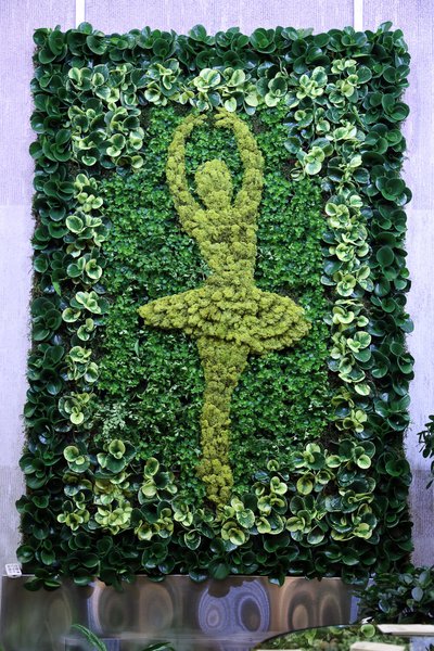 Plant Paintings