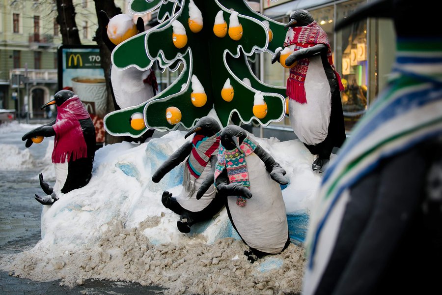 Winter decoration for Lviv Roshen Store 2017