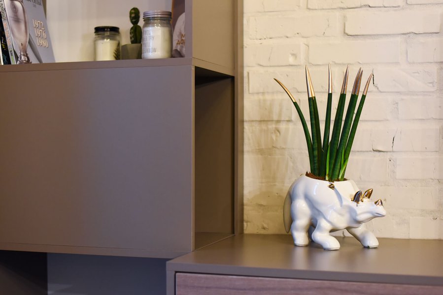 Animal Land Glossy Collection