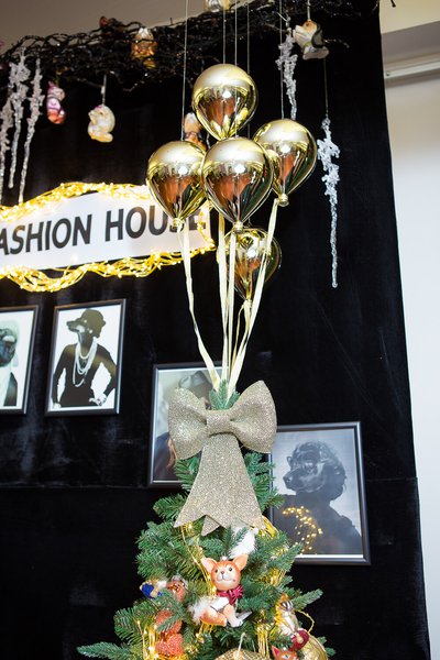 Колекція Fashion dogs
