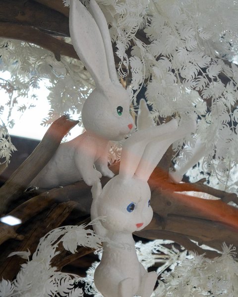 Love and kindness: a new window display for the Roshen store in Ivano-Frankivsk