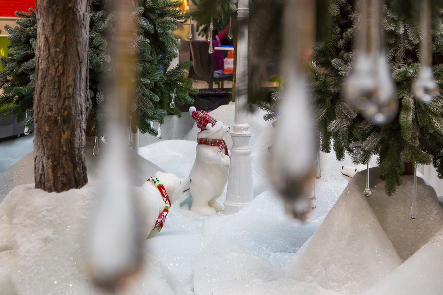 Northern bears in the winter design of the Globus shopping centre