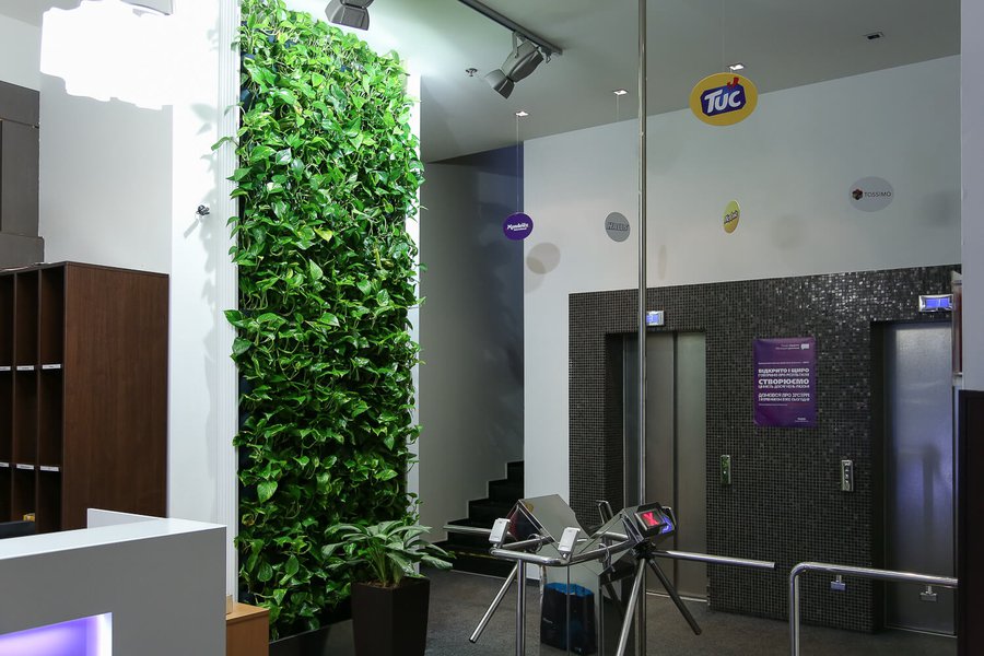 Plant Walls