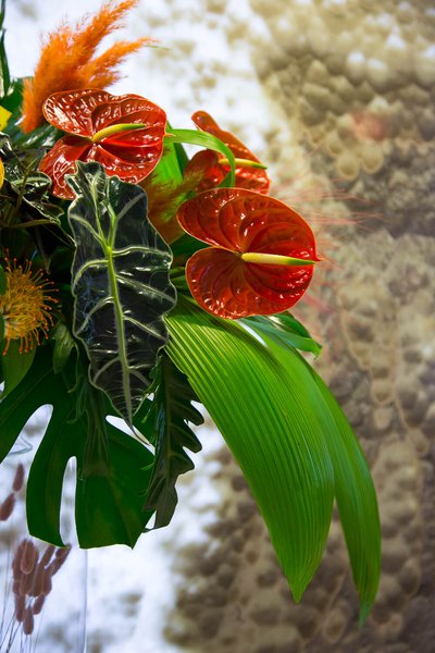 Interior floral arrangements at Borispol airport July 2019