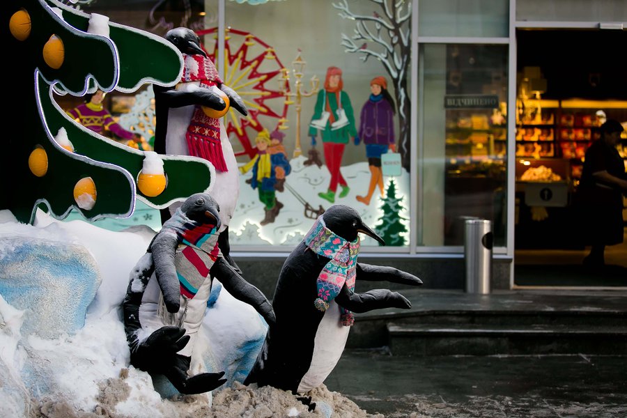 Winter decoration for Lviv Roshen Store 2017